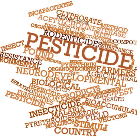 Understanding Pest’s Resistance to Pesticides
