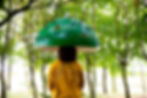 CANOPY