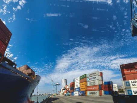 Exportações de pescados de SC aos EUA via portos estão suspensas e por avião seguem até agosto