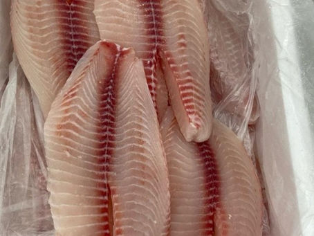 Exportadores de pescados pedem socorro ao governo.