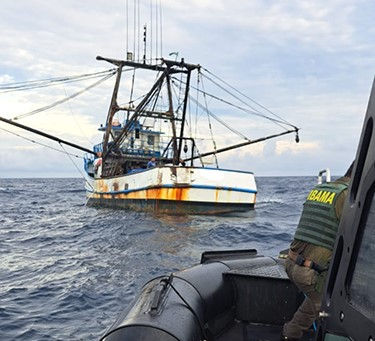 Ibama apreende 86 toneladas de pescado em Santa Catarina