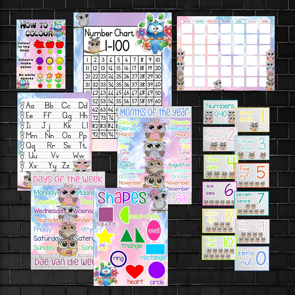 Classroom Theme Poster Combo- Custom to your theme