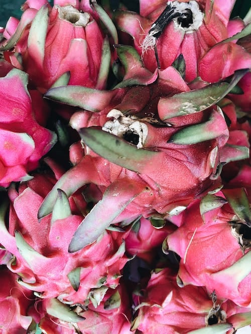 Healthy and Tasty Dragon-fruits