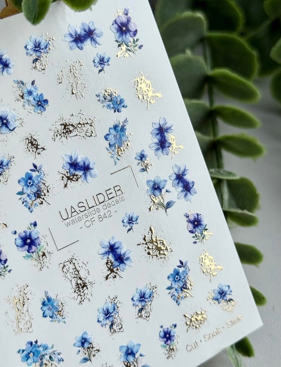 Thumbnail: UA Slider CF 842 (Color and Foil)