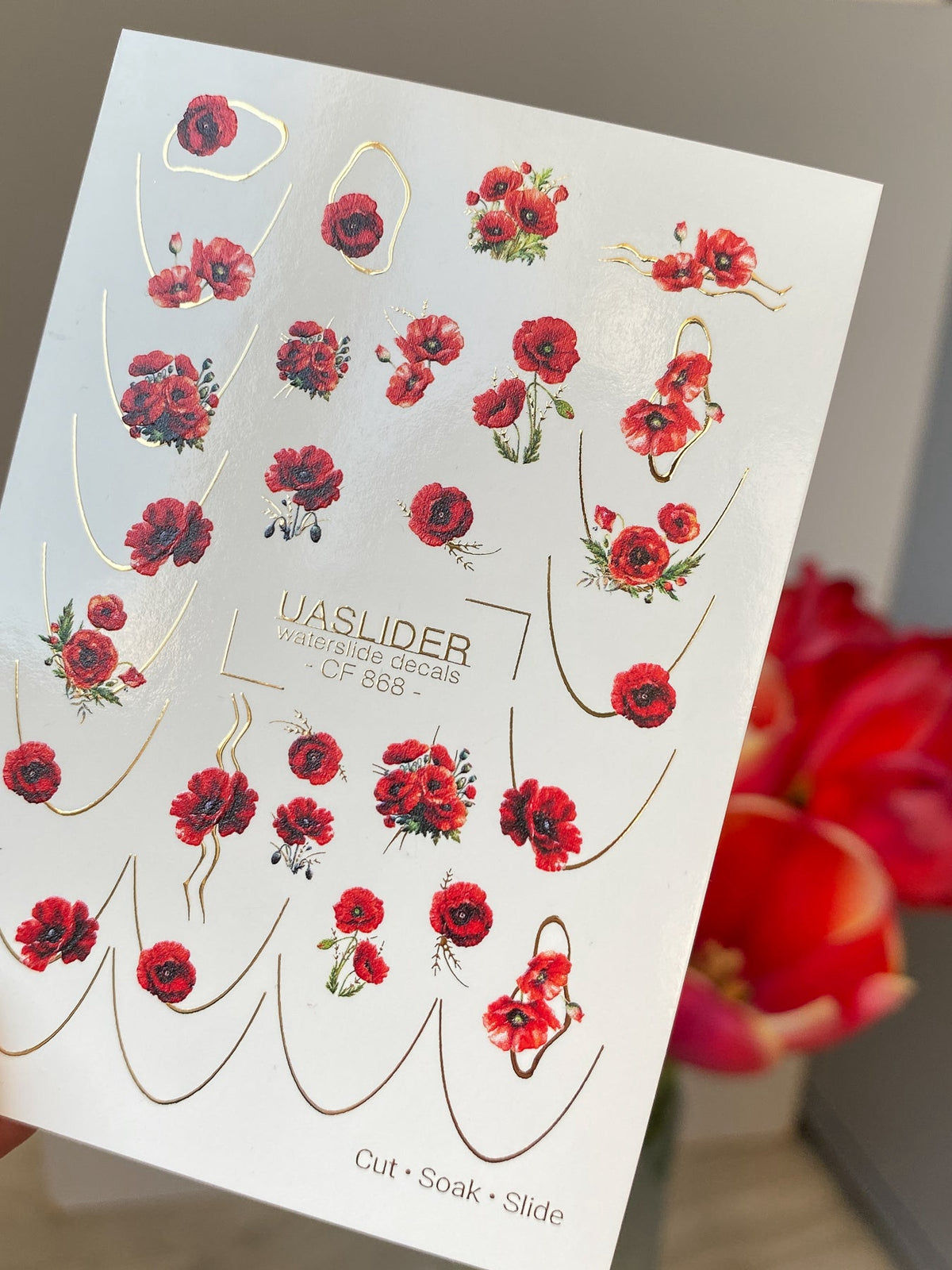 UA Slider CF 868 (Color and Foil)
