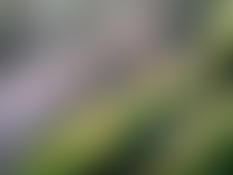 A close-up photo of a small pink sprout growing among green moss in a forest setting. The soft focus and natural lighting evoke a sense of fragility, growth, and trust—symbolizing the delicate relationship between users and AI products