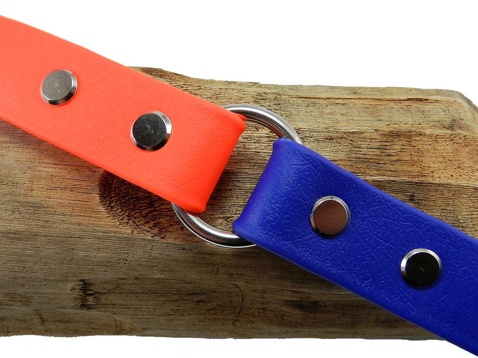 Orange & Royal Blue
