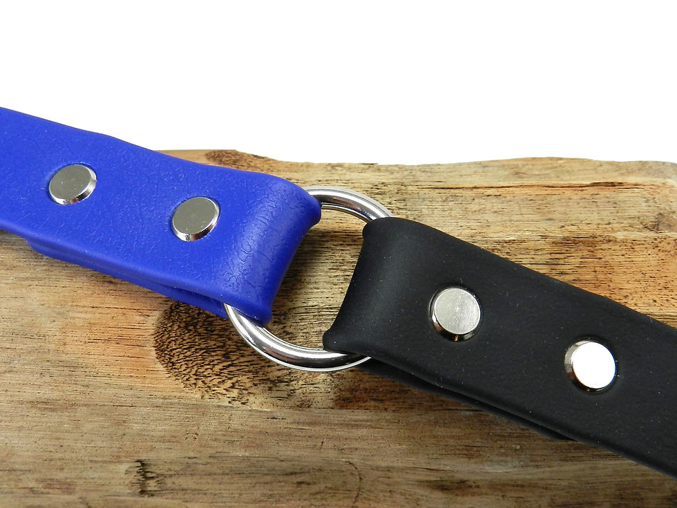 Royal Blue & Black