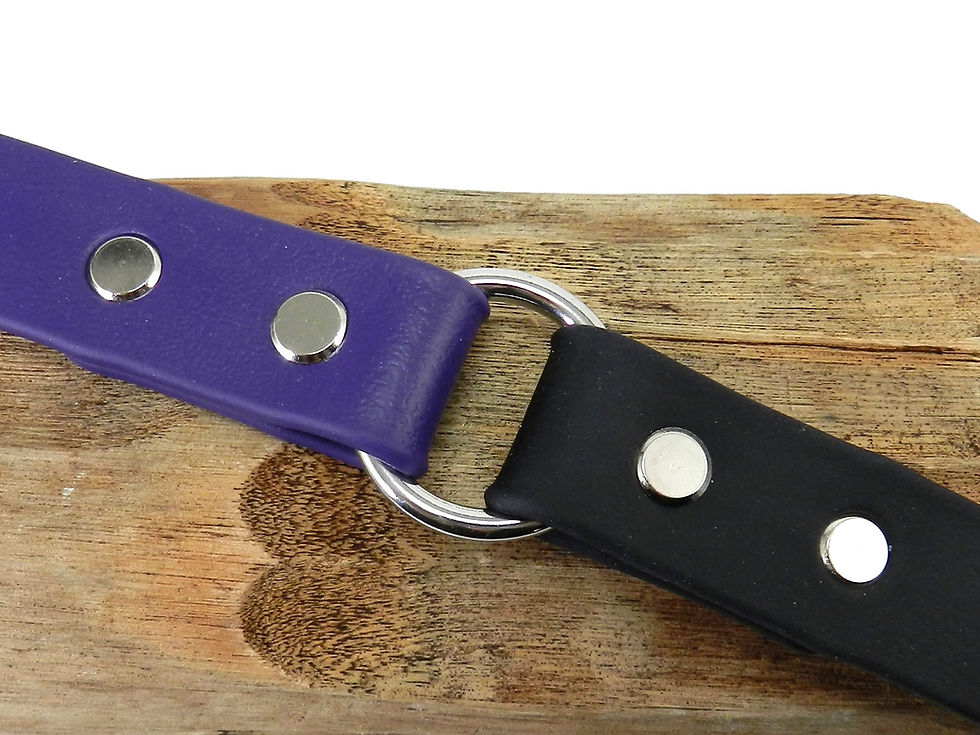 Purple & Black