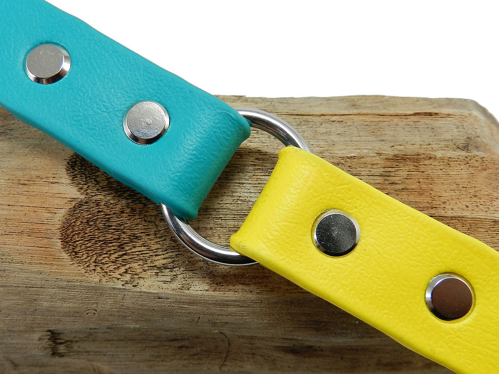 Teal & Lemon