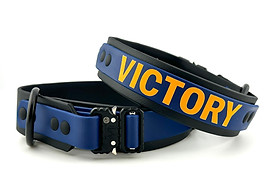 Personalized Watchdog