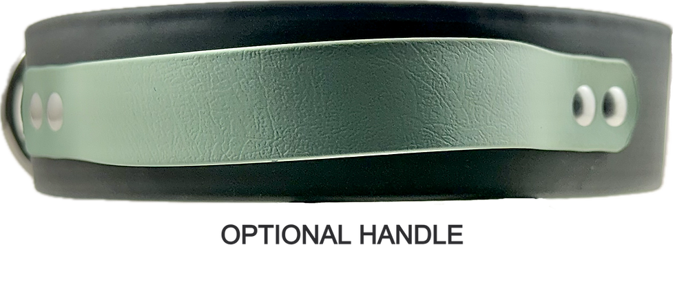 Thumbnail: optional handle shown for waterproof 2" BioThane agitation dog collar with quick release military grade Cobra style buckle