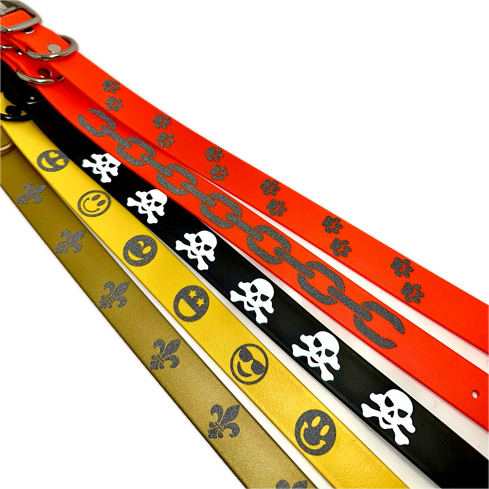 Thumbnail: SHAPES & PATTERNS (Traditional Buckle)