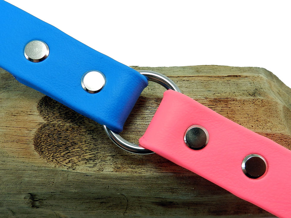 Sky Blue & Hot Pink