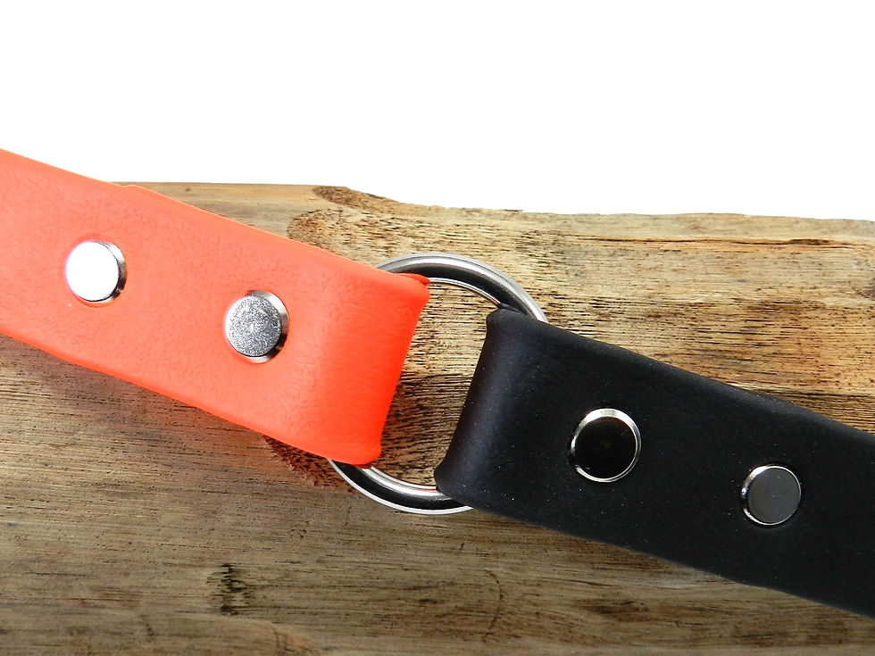 Orange & Black