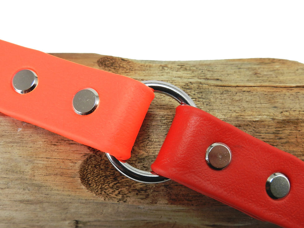 Orange & Red
