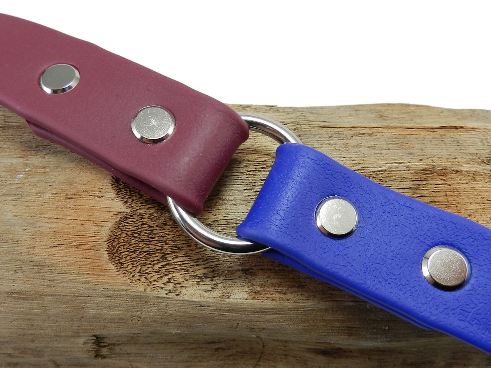 Merlot & Royal Blue