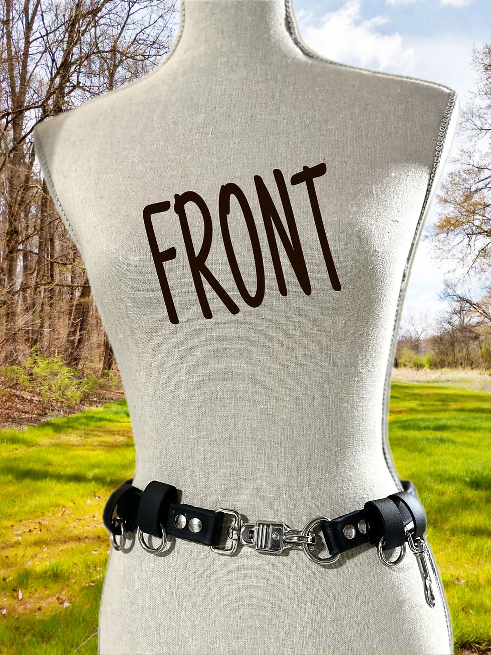 front of biothane dog walking belt