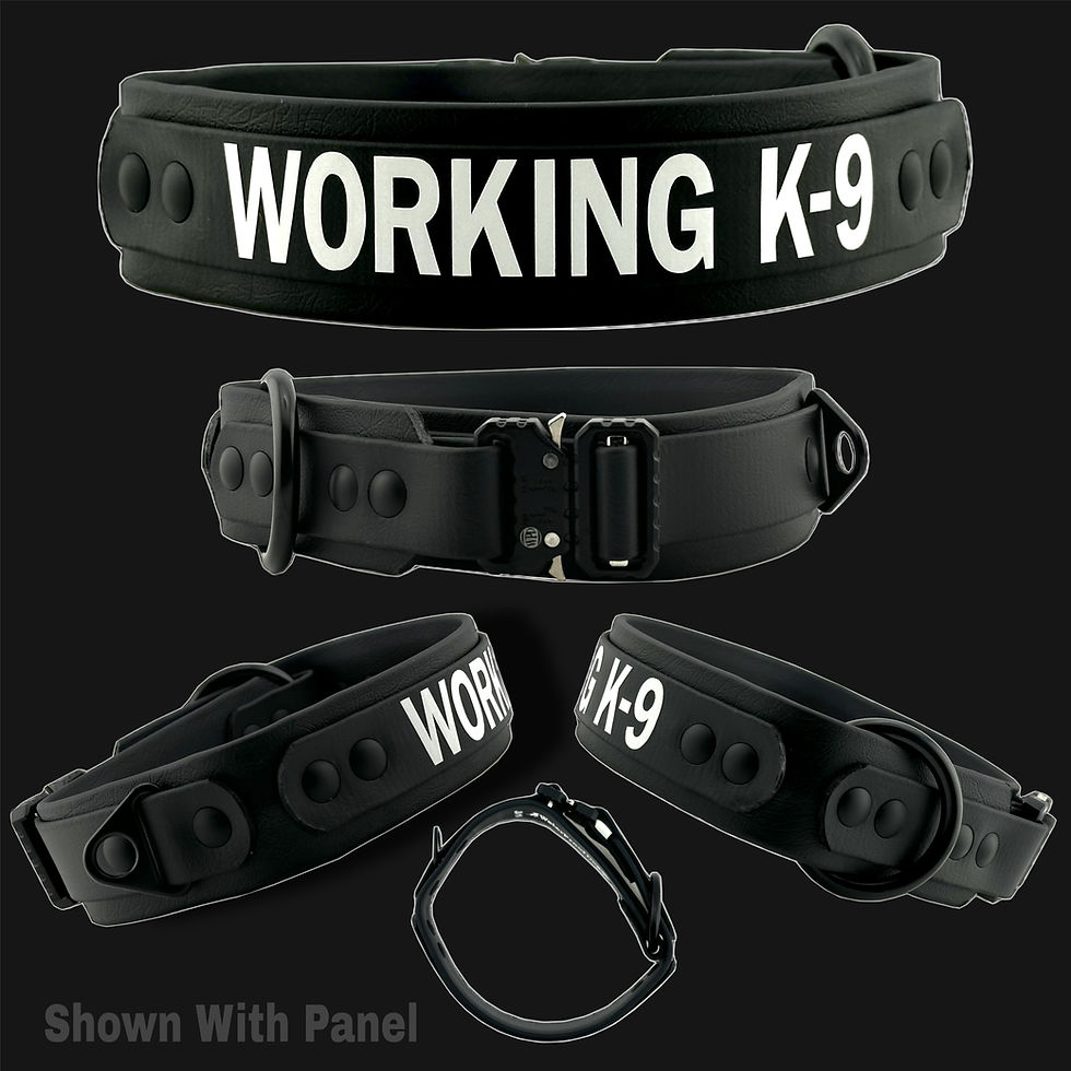 Working K9 Dog Collar