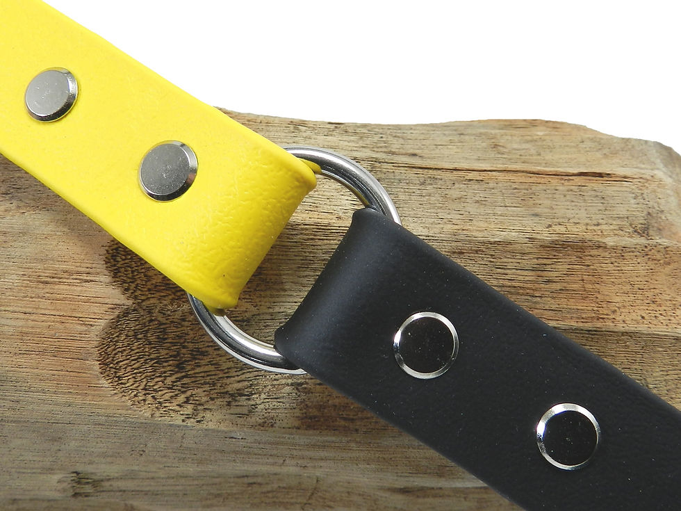Black & Lemon