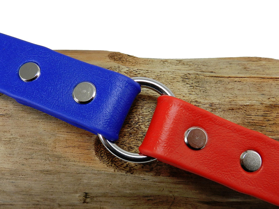 Royal Blue & Red
