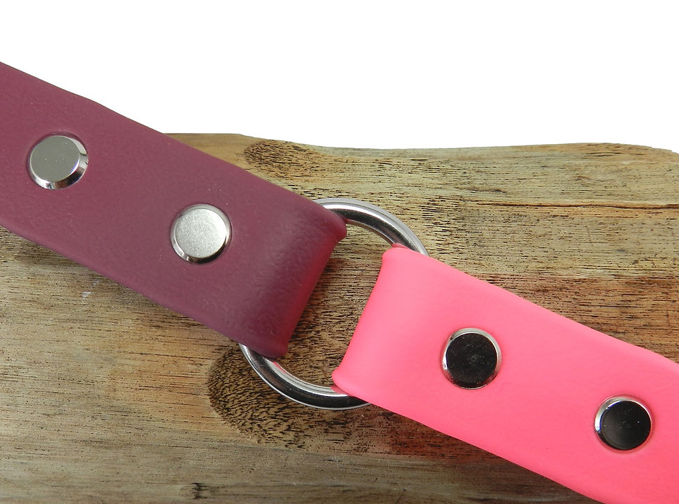 Merlot & Hot Pink