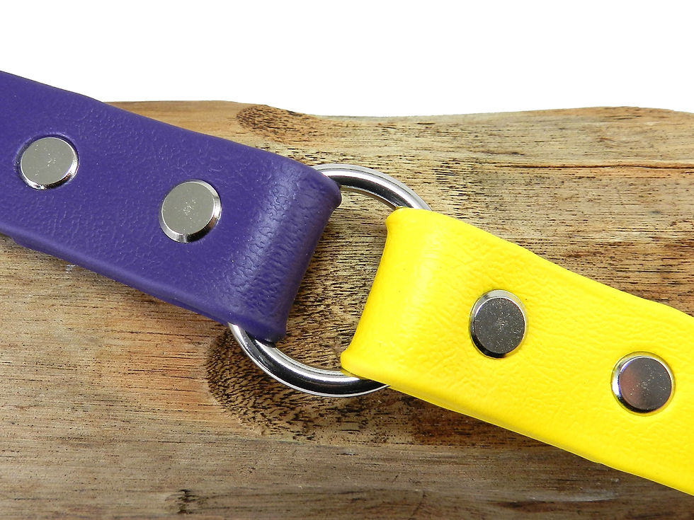 Purple & Lemon