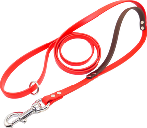 DSCN9528 - cut out.png