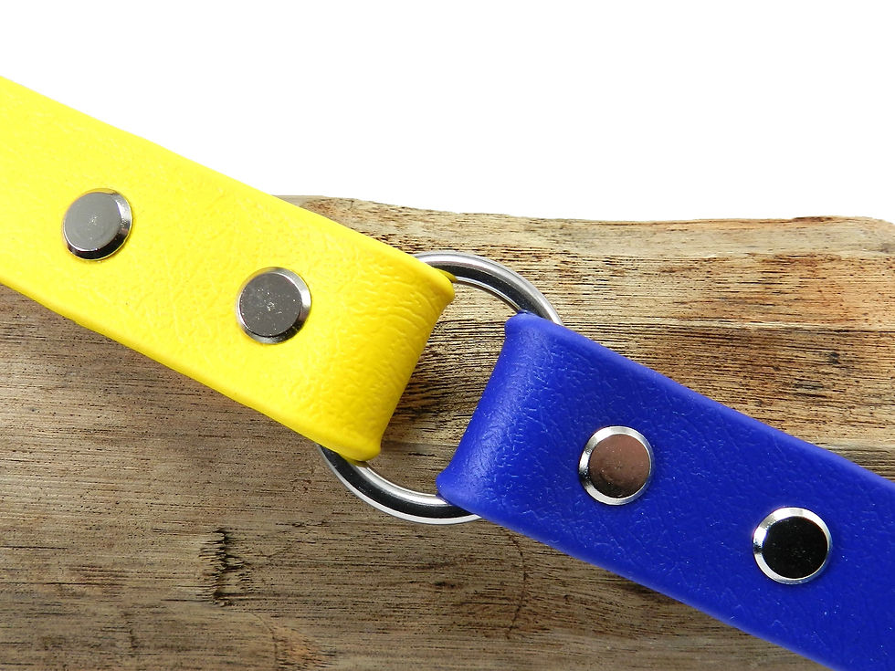 Lemon & Royal Blue