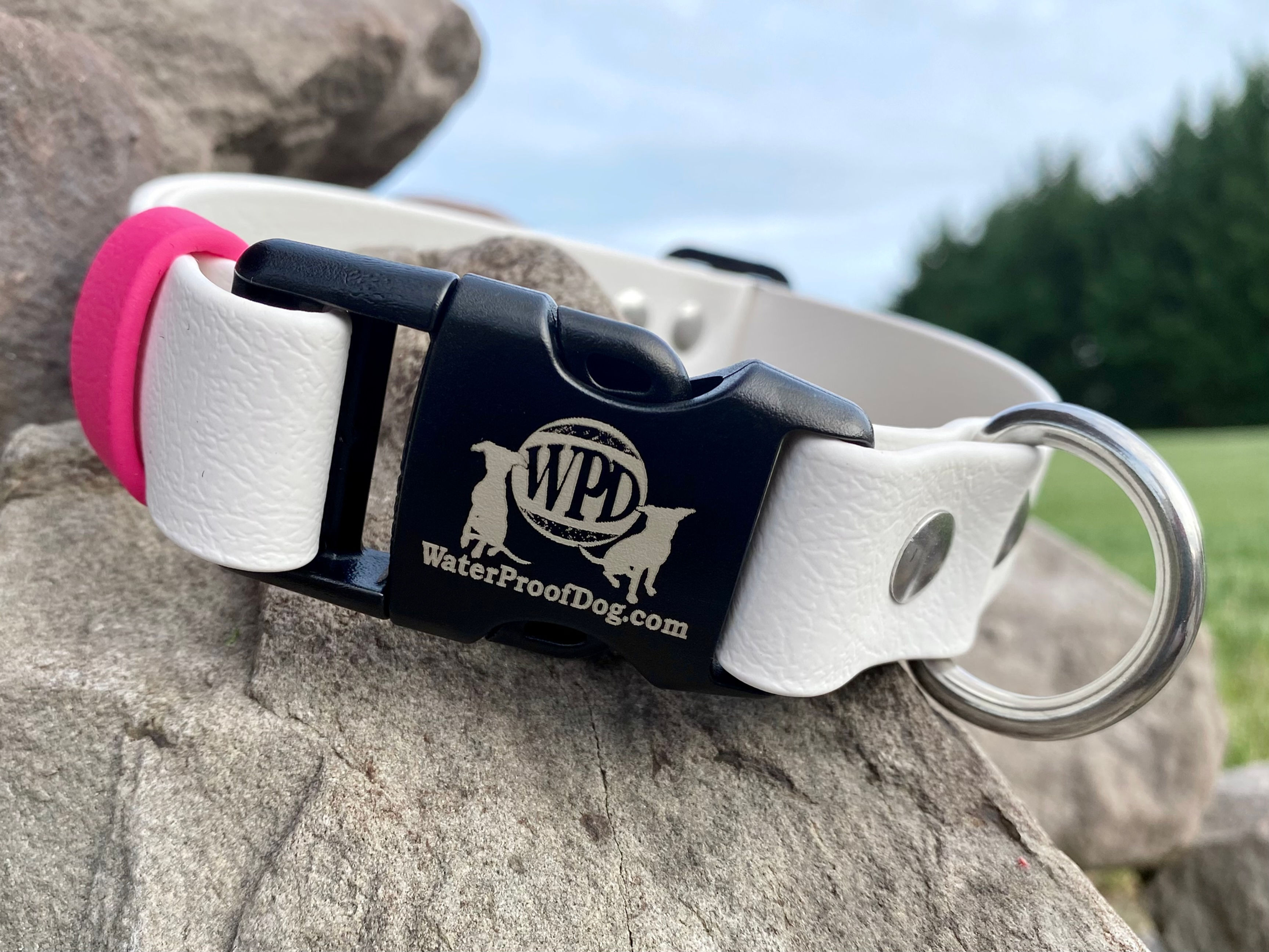 Quick Release 1" (Plastic Buckle)