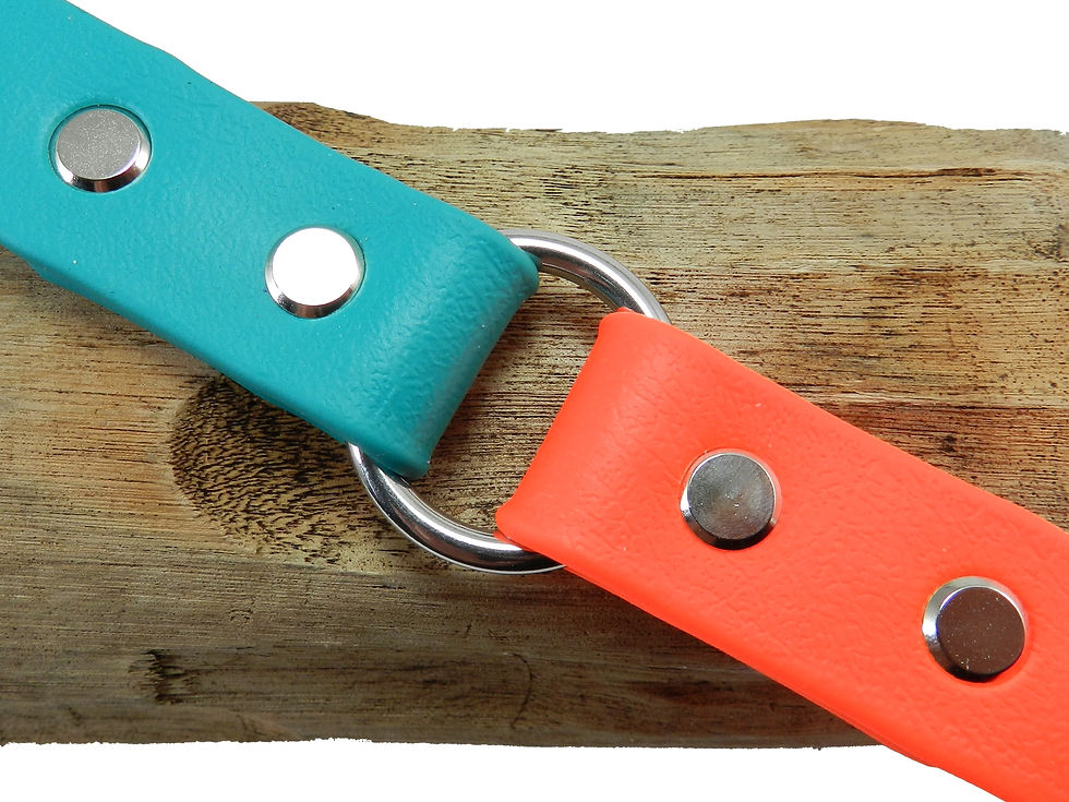 Teal & Orange