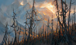 Lifting of the Curtain