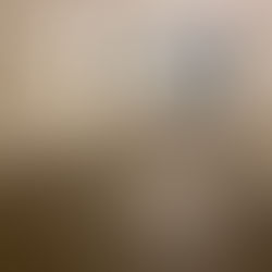 Would you like to refresh your floors?