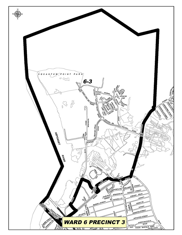 Ward 6 Precinct 3 map