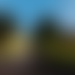 חוף דור צימרים