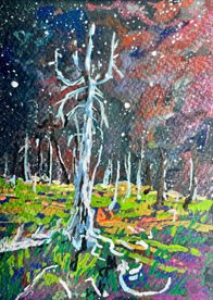 Night scape with tree study