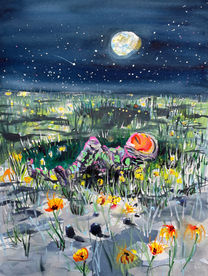 Moon Meadows