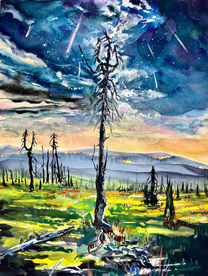 Night sky with tree