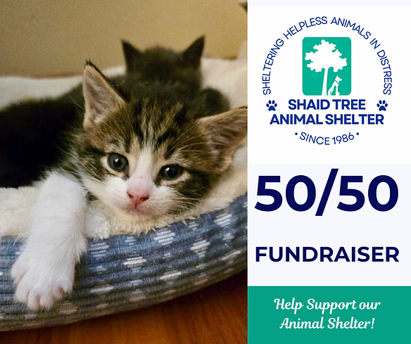 5050 RAFFLE-6.png
