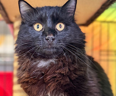 IMG_2418 2_edited.jpg