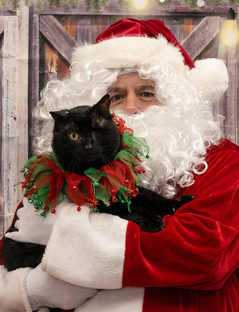 Santa Pictures.png