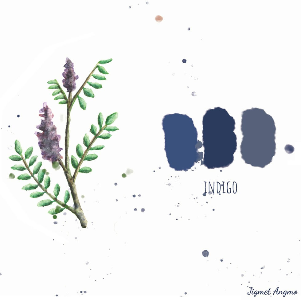 Thumbnail: Grass and Sky Pashmina Shawl