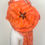 Thumbnail: Orange Poppy Wrap