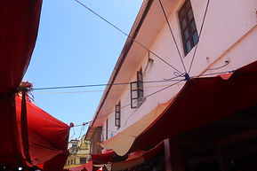 IMG_3849.JPG