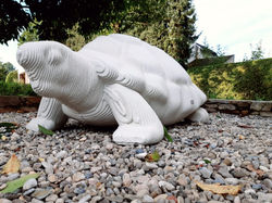 3D Betondruck, Schildkröte für die Gartengestaltung