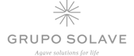 grupo-solave-logo.png
