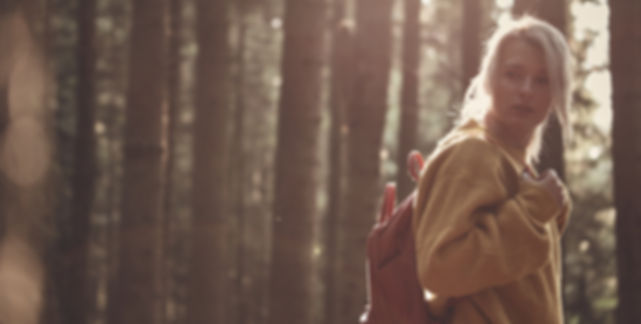 In the Woods