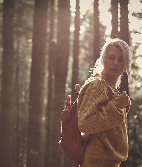 In the Woods
