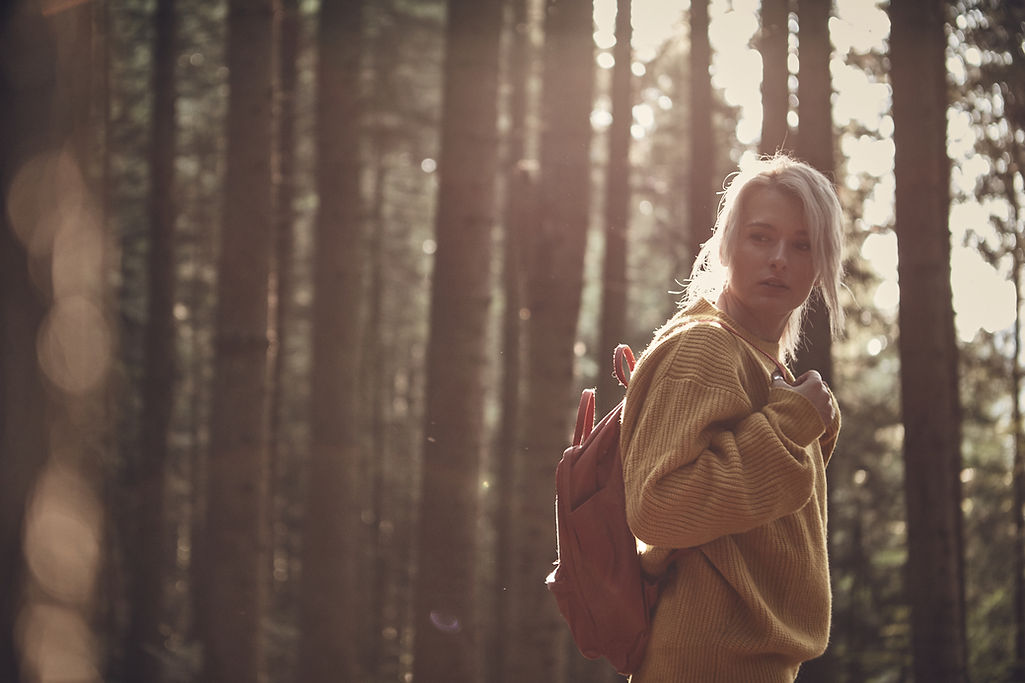 In the Woods