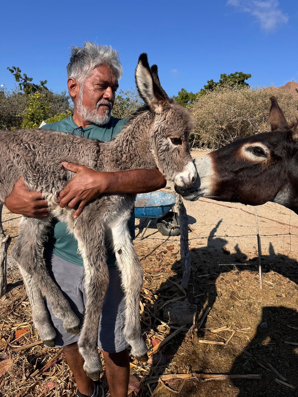 Sergio holding a newborn burro at Rancho Rincon Inn